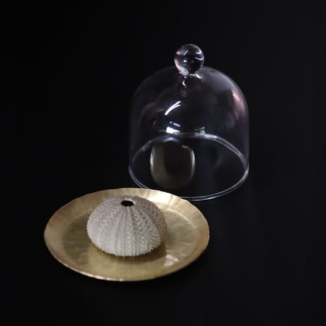 鎚目模様の真鍮皿のミニミニガラスドーム
