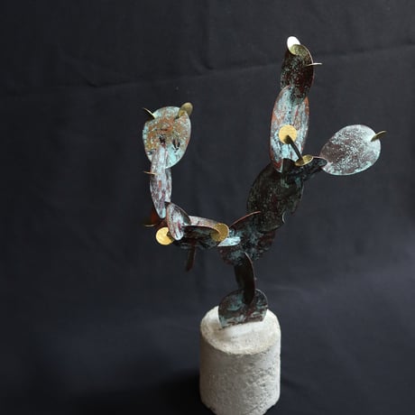 【 Metallum cactus 】
