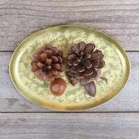 真鍮のオーバルプレート　コッペ