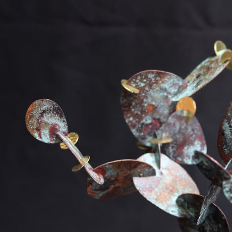 【 Metallum cactus 】