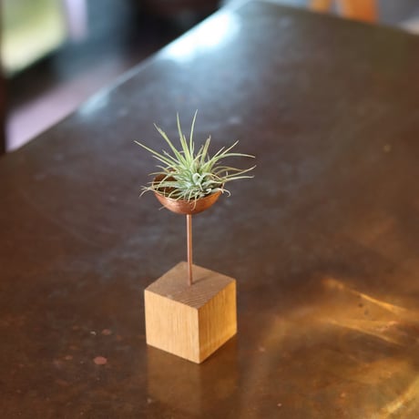 CATEGORY 花器 | WATO