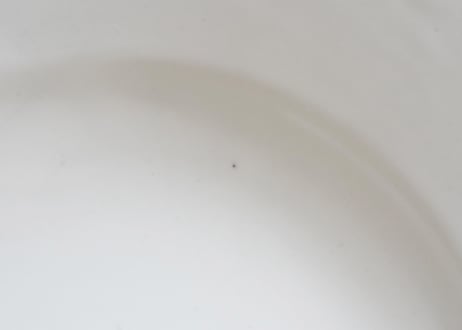 園 : スープ厚皿