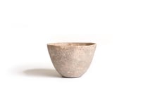 M29 :  free cup / 山原