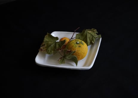 安部07 : 白釉菱形皿