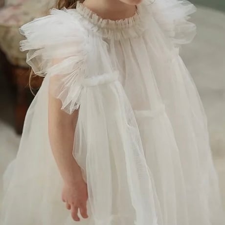 【予約】Ruffle sleeves dress