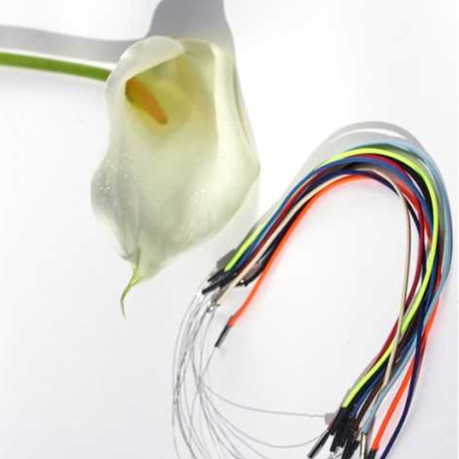 66fa1b7bc60d69002f24ec70