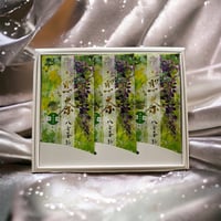 新茶 初みどり3本箱ギフト　≪5月初旬頃より順次発送≫