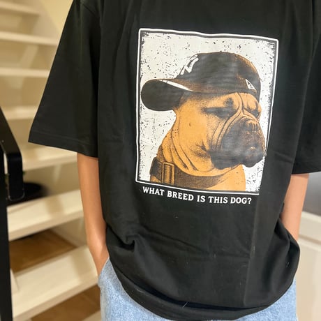 犬種何ですか？Tシャツ〔ブラック〕