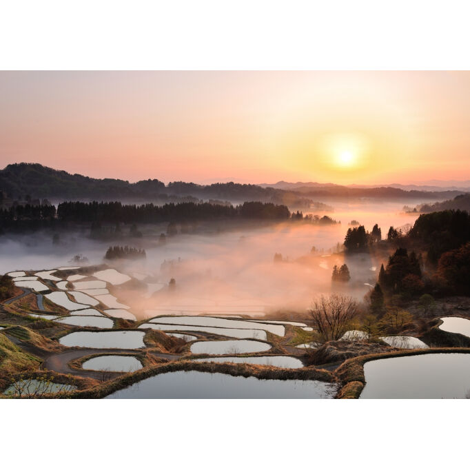 100mm K-Seriesヒーティングホルダー (100mm K-Series Heatin...