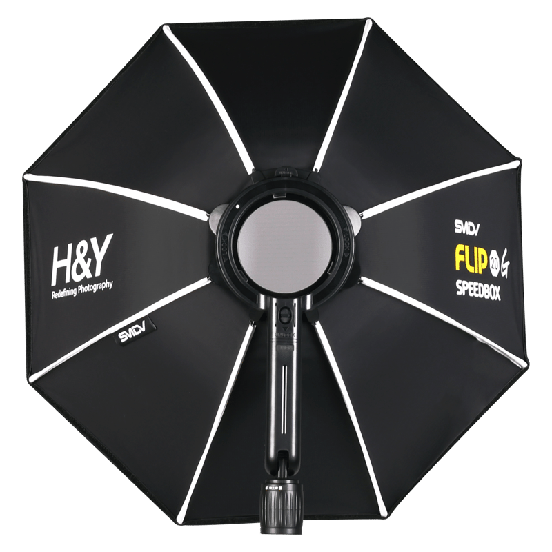 フェッチランド　拡張foil7枚セット フェッチランド 拡張foil7枚セット フェッチランド 拡張foil7枚セット