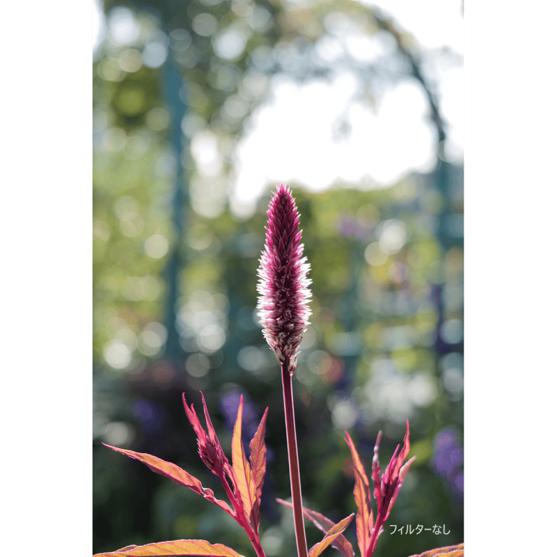 EVO-Series MRC Slim White PromistフィルターKit（ホワイトプ