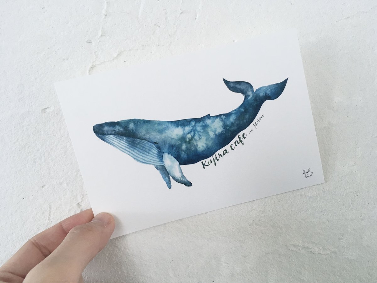 くじらカード Natsuki Wakita ポストカード クジラ - C/STORE
