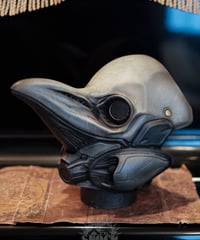 Dizzy Beak【展示品】