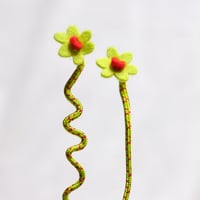 Orchid Green