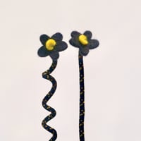 Fire salamander