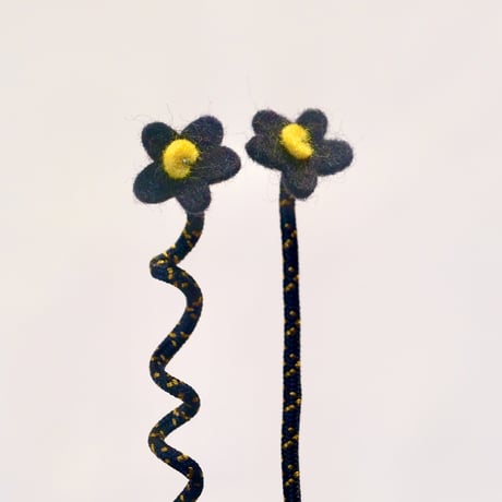 Fire salamander