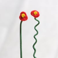 Red Poppy
