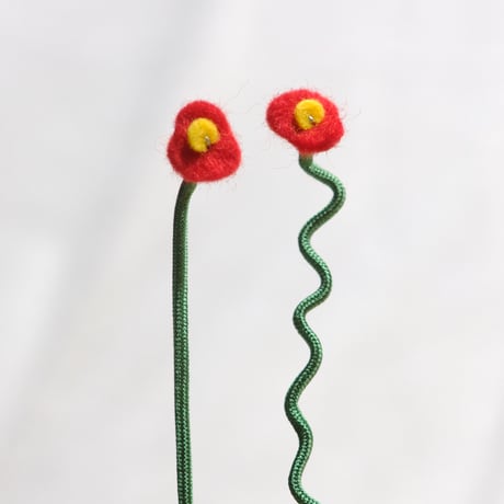 Red Poppy