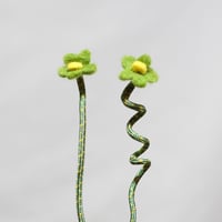 GreenBanana