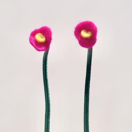 Strong pink poppy