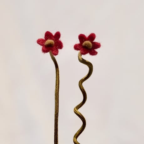 Dry Rose