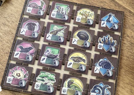 Darwin's Journey(ダーウィンズ・ジャーニー) : Kickstarter Exclusive版用インサート[TD]