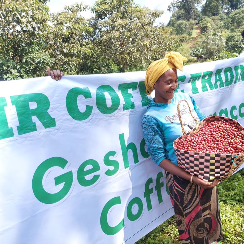 CATEGORY コーヒー豆・粉 | GOD Valley Coffee Roastery