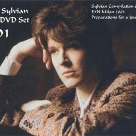 davidsylvian | STORES
