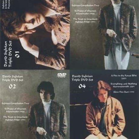davidsylvian | STORES