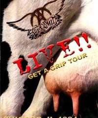 AEROSMITH Live In Chicago,IL 1994 DVD