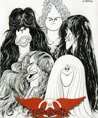 AEROSMITH HOUSTON 1977 DVD