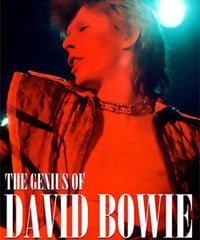 DAVID BOWIE The Genius Of David Bowie 1979 - 2002 DVD