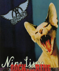 AEROSMITH  ROCK AM RING DVD