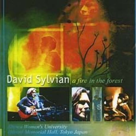 davidsylvian | STORES