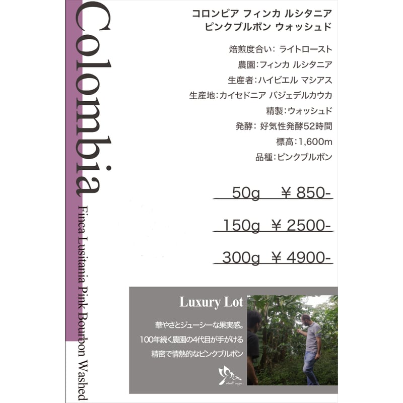 コロンビア フィンカ ルシタニア ピンクブルボン ウォッシュド