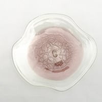 【稲嶺盛一郎】アイスカット皿