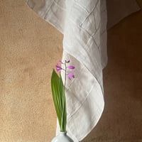 ポジャギ/モシ麻生地Ｃ