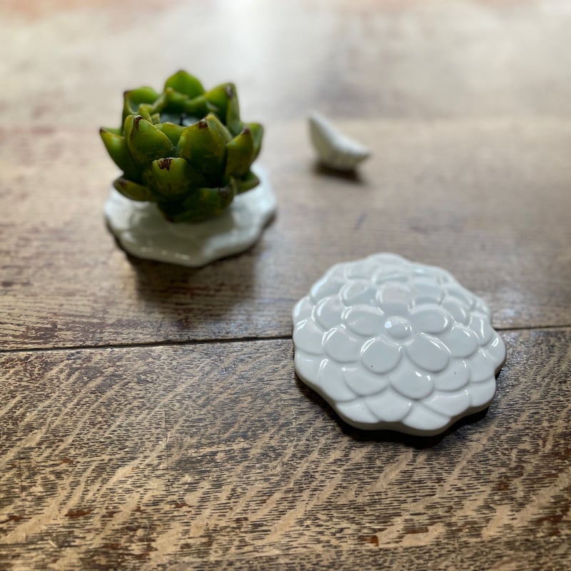 チョロクハンアリ工房/花びら箸置き豆皿 白 | hapun