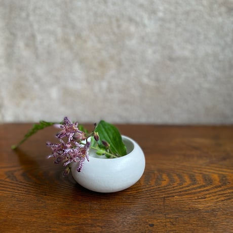 morina pottery/お餅 マットな白 中