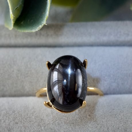 スターダイオプサイト | STORES