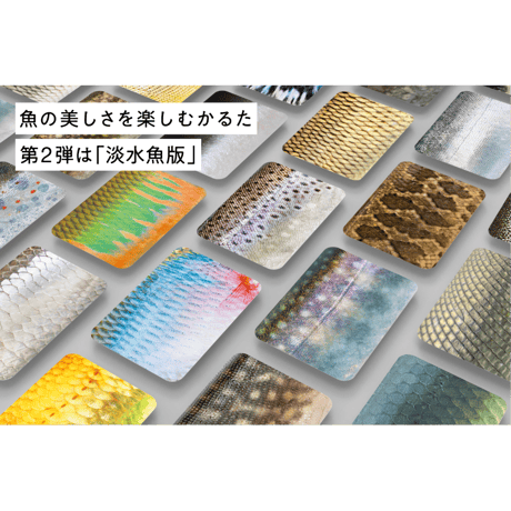 感覚の過敏さを才能に！カードゲーム「さかなかるた 淡水魚版」