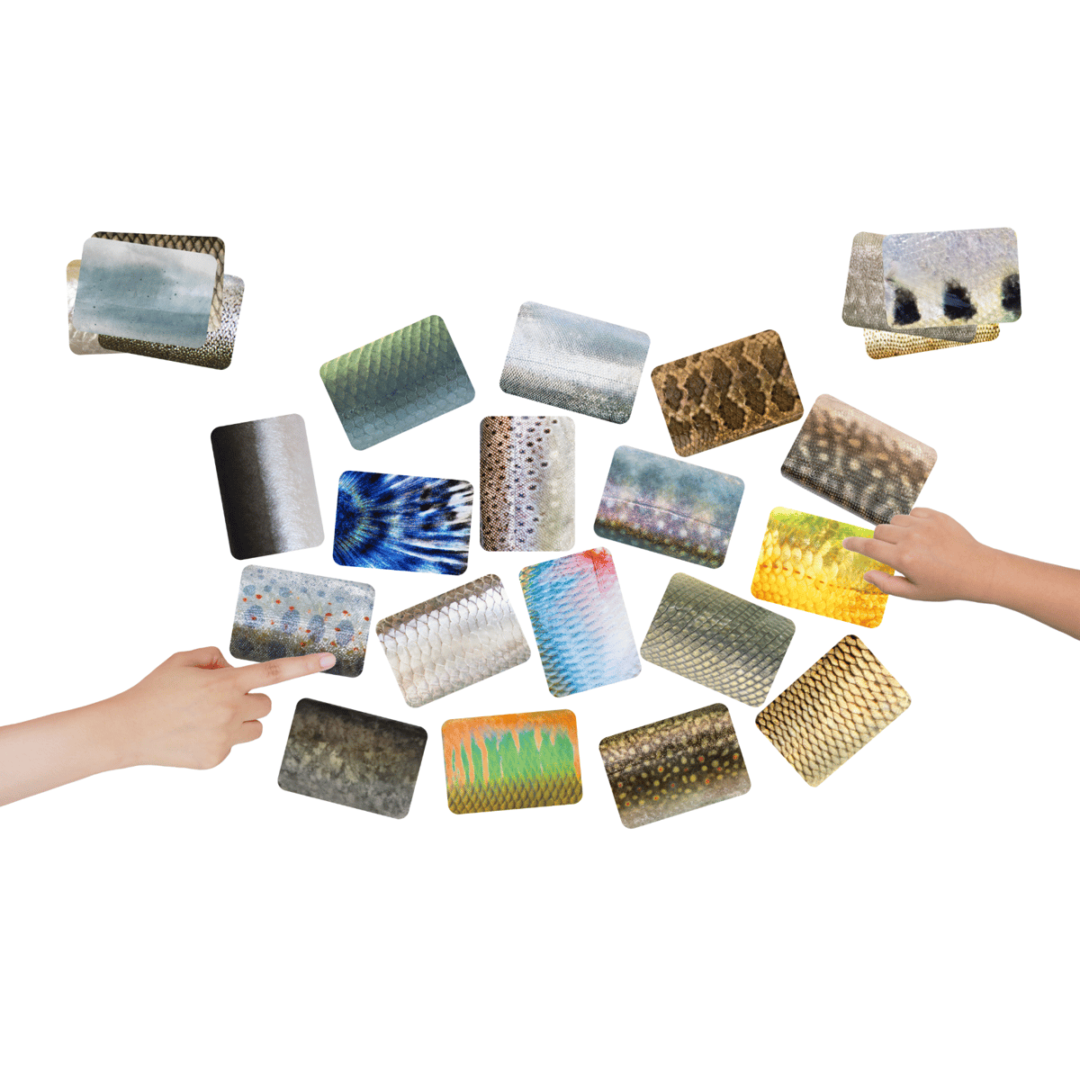 ✨残り1点✨　魚カルタ さかなかるた　フィッシュ　デザイン　遊び　テーブルゲーム 残り1点? 魚カルタ さかなかるた フィッシュ デザイン 遊び