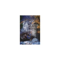 Niyodo Lover 02 | the FACTORY online shop