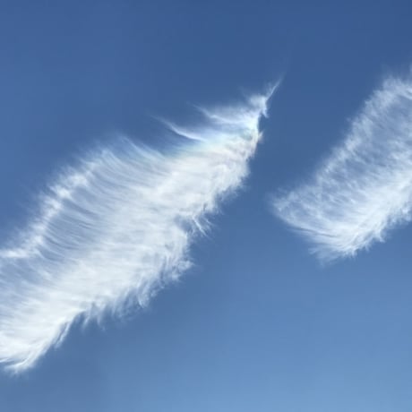 スピリチュアルガイド | STORES