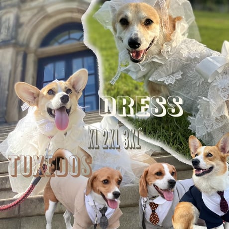 犬 服 スーツ コーギー タキシード ビーグル ワイシャツ ベスト ペット ウェディングドレス結婚式 ウェディング