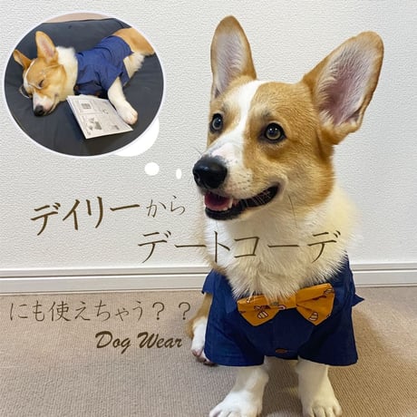 コーギー デニム シャツ 薄手 ドックウェア 無地 かわいい ドッグウェア Tシャツ 犬服