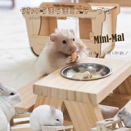 CATEGORY ハムスターさん | minimini