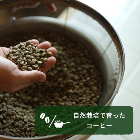 自然栽培で育ったコーヒー (豆/粉、150g)