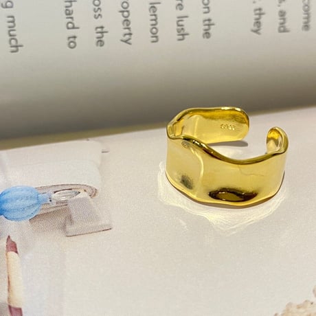 Silver925 Ring  33