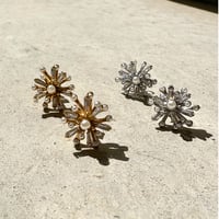 Stainless Pierce 47